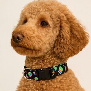 Birthday Dog Collar, Happy Birthday Cake Adjustable Fabric Dog Collar 3/4" wide